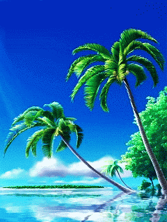 palm tree water GIF
