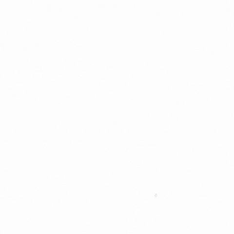 SKEPP GIF