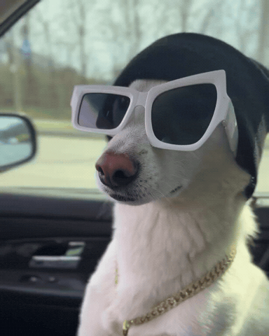 Solana Dawg GIF