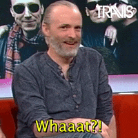Fran Healy What GIF by Travis