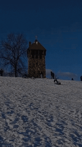 Farm Dog Blue GIF