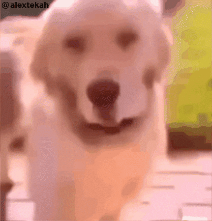 Disgusted Stay Away From Me GIF