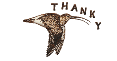 Thanks Flying Sticker