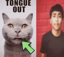 Tongue Out GIF