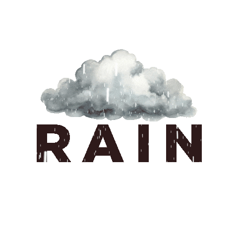 Country Music Rain Sticker by Lost Saints