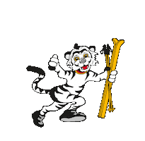 DSV - Deutscher Skiverband Sticker