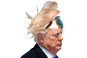 Trump Bird Sticker