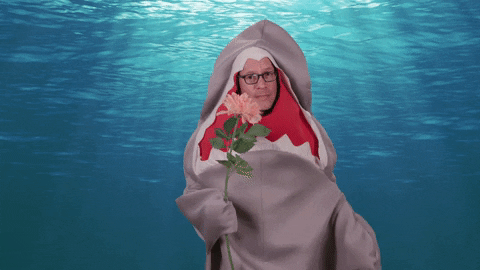 giphy.gif