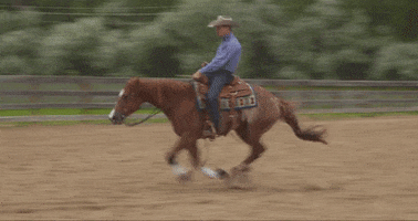 200.gif