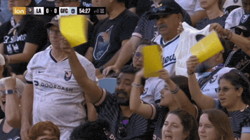 Energy La GIF by National Women's Soccer League