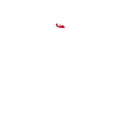 Kitty Love Sticker by BONSAI KITTEN