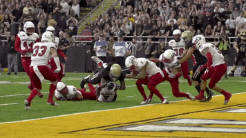 College Football Yes GIF by University of Idaho