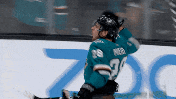 National Hockey League Hug GIF by San Jose Sharks