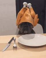 Thanksgiving Day Waiting GIF by JustViral