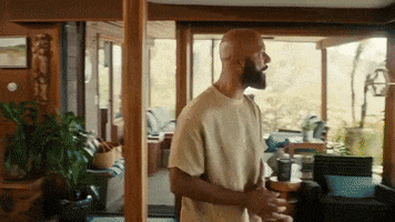 Happy Hip Hop GIF by Common