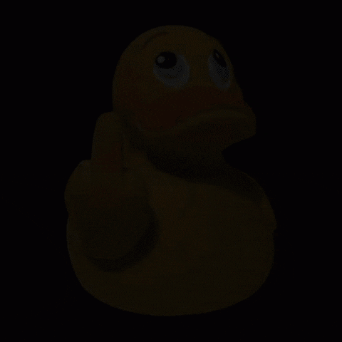 Duckshop GIF