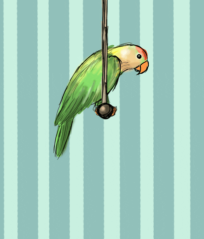 Animated GIF