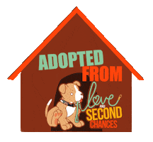 Dog Adopt Sticker by lovesecondchances