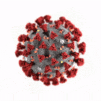 Corona Virus GIF by Androidiani
