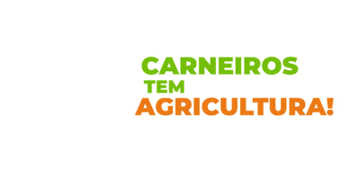 Prefeitura de Carneiros Sticker