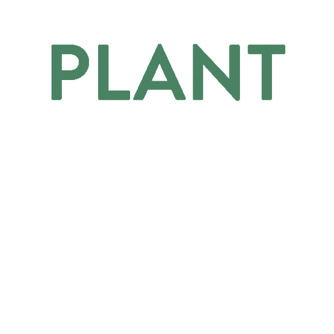 Botanical PaperWorks Sticker