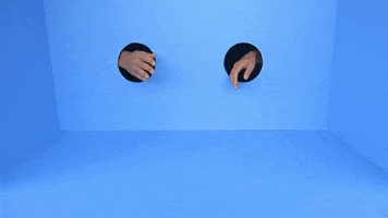 Lindyhengst GIF