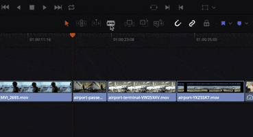 Cut GIF
