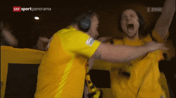 Bsc Young Boys Party GIF by Radio Gelb-Schwarz