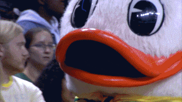 Oregon Ducks Basketball GIF by Pac-12 Network