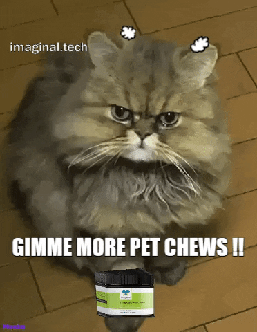 Angry Cat GIF by Imaginal Biotech