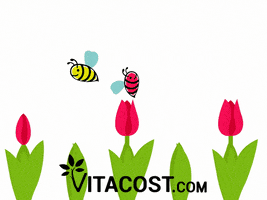 Vitacost flowers spring bee bees GIF