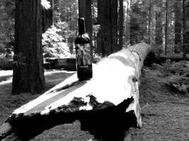 bielerwines the show cabernet malbec redwoods GIF