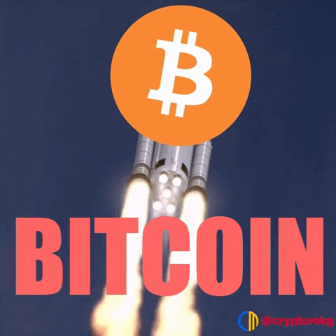 Bitcoin Pump GIF by Crypto Memes ::: Crypto Marketing