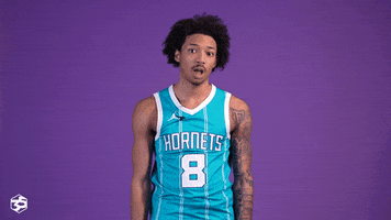 Basketball What GIF by Charlotte Hornets