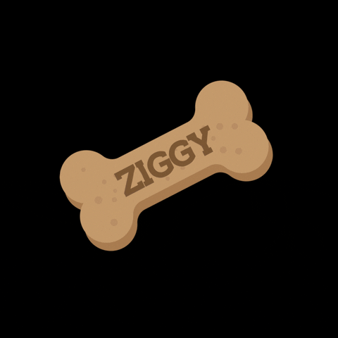Dog Biscuit Love GIF by Zignature