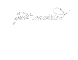 Just Married Wedding Sticker by Dani Ford