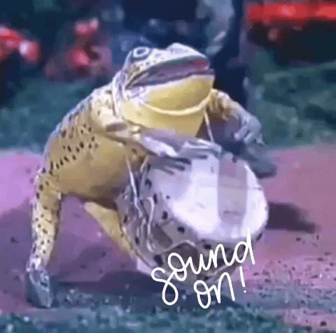 Volume Up Frog GIF by Luis Ricardo