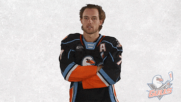 Whats Up Nhl GIF by San Diego Gulls
