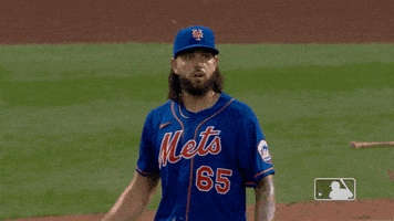 Happy Ny Mets GIF by New York Mets