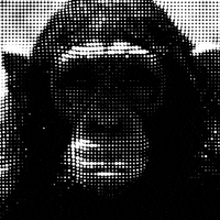 Black And White Chimp GIF by G1ft3d