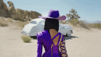 Rules GIF by Doja Cat