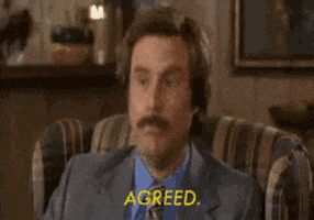 Movie gif. Will Ferrell as Ron in Anchorman tilts his head skeptically then nods vigorously. Text, "Agreed."