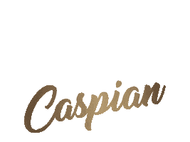 Pp Rising Sticker by lave_sungkono