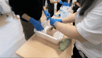 填塞止血 GIF by Choc Ye