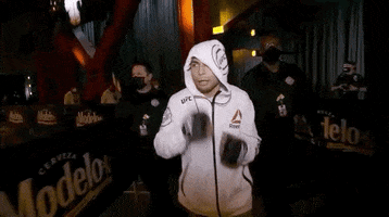 Sport Walk Out GIF by UFC