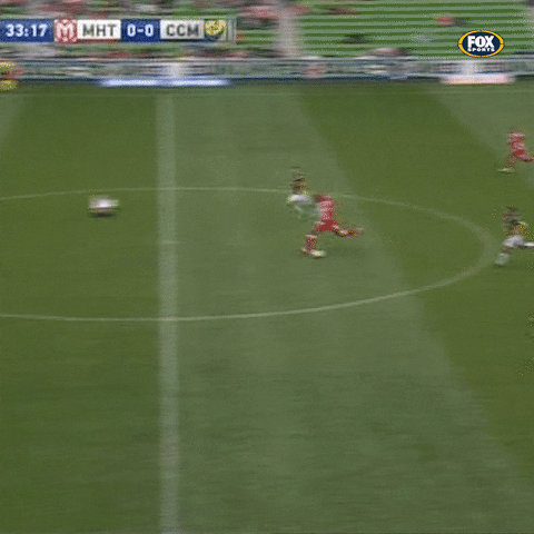 GIF by Melbourne City