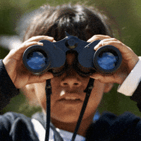 Le jeu de la réplique - Page 12 200.gif?cid=af3708f32p1wyz3ucd2idwpqunskzjfybwwkt11y6lb8mole&rid=200