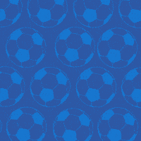 Football Soccer GIF by Pudgy Penguins