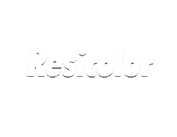 ResicolorTintas Sticker