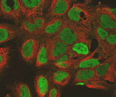 Event Postpone GIF by vedascii